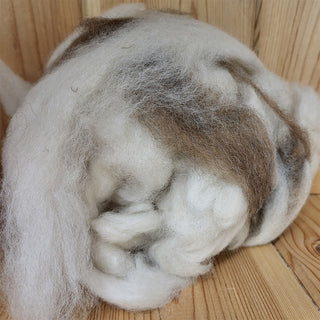 "Disorganized Fluff & Pieces" (#11j)