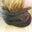 Brown/grey shade stripes