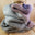 Rose Purple with Grey Main